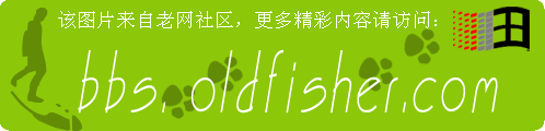 19级会员